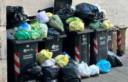 "Ci sono gli incivili, ma  anche la raccolta non viene fatta a dovere"