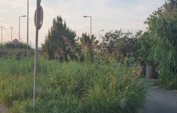 "Questo è lo stato della rotonda di viale Torricelli"