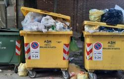"Così si presenta oggi via Ariosto"