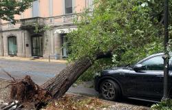 Maltempo, Pozzolo: "Rafforzare le risorse economiche per prevenzione"