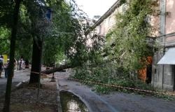 Vercelli, Corsaro: "Lavoriamo per tornare alla normalità"