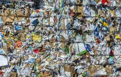 Piemonte: nel 2022 rallenta la raccolta differenziata di carta e cartone