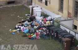 Topi e rifiuti in via Dante, case Atc invase dalle blatte