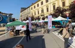 Vercelli: "Festa d'autunno" all'insegna di shopping, sport e musica