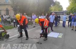 Viale Garibaldi, via ai lavori: "meno cemento, più verde"