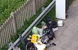 "In via Alpi non hanno rimesso i nuovi raccoglitori ma i rifiuti sono lì"