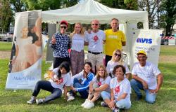 Avis Vercelli: intrattenimento  per i bambini di Make-a-wish