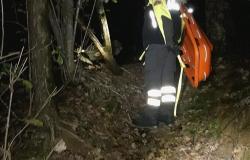 Anziano cade nel bosco, salvato dai vigili del fuoco