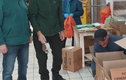 Trino: Colletta alimentare, giornata dell'albero, violenza sulle donne