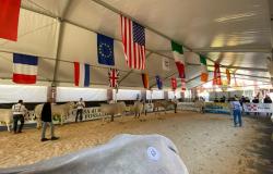L'Istituto Tecnico Agrario alla scoperta della razza bovina piemontese