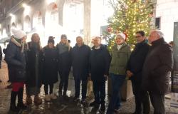 Vercelli: le foto de "L'Albero dei Piccoli Artisti"