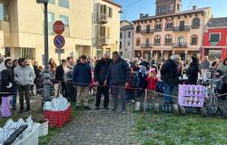 Il Natale nella Bassa e in Cintura