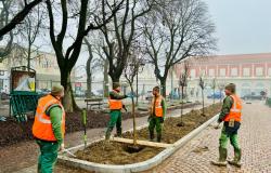 Piazza Roma: posate le piante di melograno