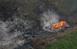 Albano: dà fuoco ai rifiuti tra le risaie, denunciata una persona