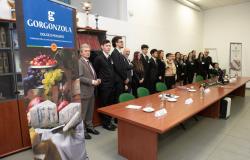 Novara: il Consorzio Gorgonzola Dop incontra gli studenti del Ravizza