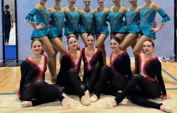 Un oro e un bronzo per la Ginnastica Pro Vercelli
