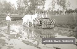 A "Fiera in campo" un docufilm sulle prove agricole del 1928