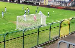 Pro Vercelli: “Verdi di rabbia”