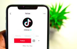 TikTok Lite a rischio di blocco