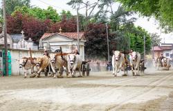 Asigliano si prepara a sciogliere il voto a San Vittore