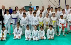 Yanagi Karate Vercelli: 10 atleti sul podio