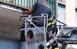 Vercelli: crollo di calcinacci in via Paggi