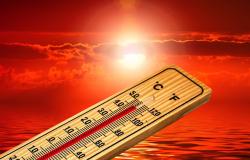 Le "regole d'oro" per proteggersi dalle ondate di calore