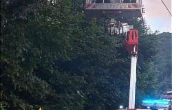 Alberi pericolanti in Valsesia, intervengono i Vigili del fuoco
