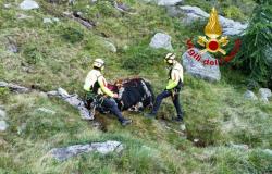 Alagna: bovino ferito in alpeggio e recuperato con l'elicottero