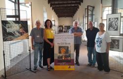 Trino: oltre 300 visitatori per la mostra di Pio Carlo Barola