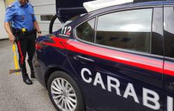 Minaccia il vicino con un'ascia: "Mi ha piegato il manico della scopa"