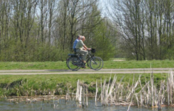 "Rendere percorribili in bicicletta strade alzaie e argini fluviali"