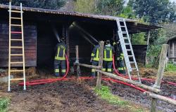 Roppolo: incendio ai box di un maneggio
