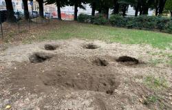 Manutenzione dell'area sgambamento cani di piazza Mazzini