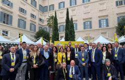 Al via la campagna digitale per l’etichetta trasparente sui cibi