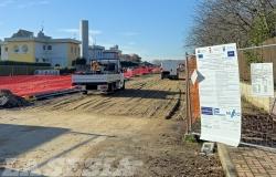 Corso Avogadro di Quaregna: in arrivo 288 piante