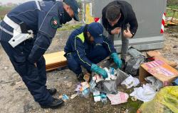 Vercelli: 18 sanzioni agli "incivili dei rifiuti"