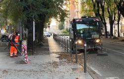 Vercelli: il calendario dello spazzamento foglie