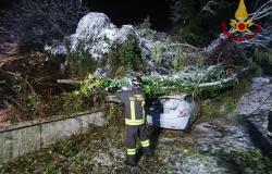 Novarese e nel Biellese: alberi caduti su auto, cavi elettrici danneggiati