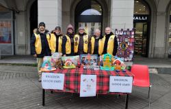 Un successo la raccolta di giochi del Lions Club Vercelli