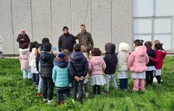 Trino: l’Istituto Comprensivo ha celebrato la “Giornata dell’Albero”
