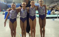 Libertas Vercelli, 11°  posto su 40 per le Gold 3A 