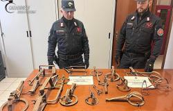 Vendono online tagliole per la fauna selvatica: multa  e sequestro