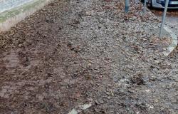 Vercelli: in via Oldoni marciapiede scivoloso e indecoroso