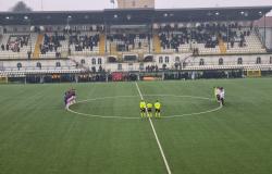 Pro Vercelli-Lumezzane 3-3: gladiatori al Silvio Piola