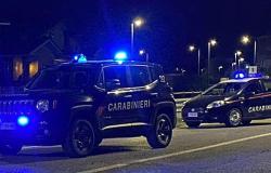 Bande di "topi d’appartamento" sgominate dai carabinieri