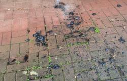 Indignazione per l'incendio allo "Scambialibri" dell'Isola