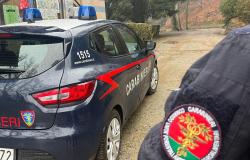 Stagione di caccia nel Vercellese: 6 persone denunciate e 26 multate