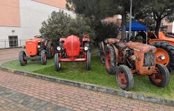 Fiera in Campo 2025: i veicoli storici