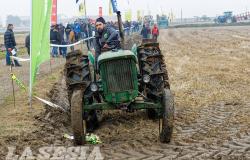 Fiera in Campo 2025: tutte le FOTO (parte 2)